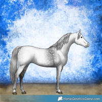 Horse Color:Gray Liver Chestnut 