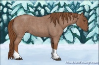 Horse Color:Red Roan Tobiano 