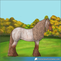 Horse Color:Red Roan
