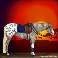 Horse Color:Smoky Black Ice Pearl Appaloosa 