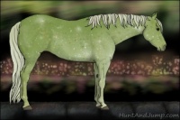 Horse Color:Watercolor Silver Black 