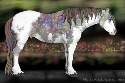 Horse Color:Nacre Black Ice Sabino Splash Appaloosa 