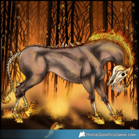 Horse Color:Sable Champagne Mushroom Rabicano 