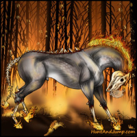 Horse Color:Gray Platinum Bay 