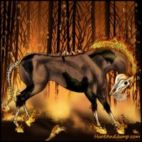 Horse Color:Void Chestnut Tobiano Rabicano