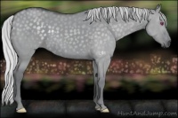 Horse Color:Silver Grullo Chinchilla 