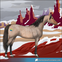 Horse Color:Bay Roan Dun 