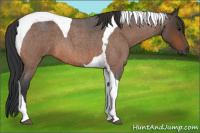 Horse Color:Bay Roan Tobiano 