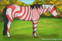 Horse Color:Bay Roan Tobiano 