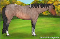 Horse Color:Bay Roan Tobiano 