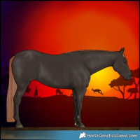 Horse Color:Liver Chestnut 