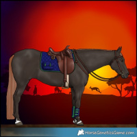 Horse Color:Liver Chestnut 