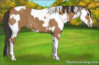 Horse Color:Bay Splash Tobiano  and Bay Splash Tobiano 