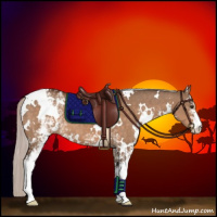 Horse Color:White Spotted Silver Brown Dun 