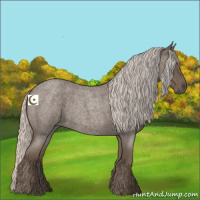 Horse Color:Silver Blue Roan 