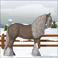 Horse Color:Silver Black 