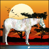 Horse Color:White Spotted Buckskin Ice 