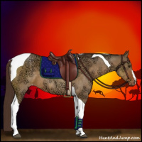 Horse Color:Buckskin Ice Dun Tobiano Appaloosa 