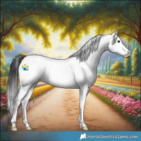 Horse Color:White Spotted Grullo Splash 