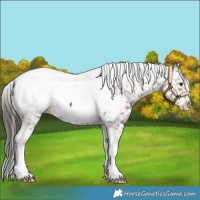 Horse Color:Liver Chestnut Tobiano Snowcap 