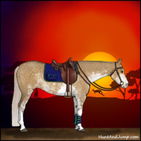 Horse Color:Chocolate Palomino Dun Sabino 