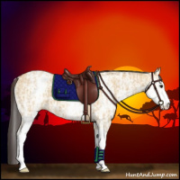 Horse Color:White Spotted Buckskin Ice Dun 