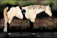 Horse Color:Buckskin Pearl Tobiano 