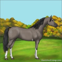 Horse Color:Grullo Tobiano 