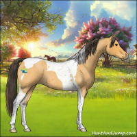 Horse Color:Buckskin Roan Tobiano 