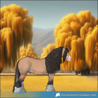 Horse Color:Bay Dun Splash 