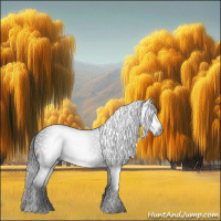 Horse Color:Gray Smoky Black 