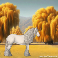 Horse Color:Perlino 