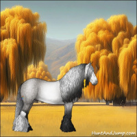 Horse Color:Gray Grullo 