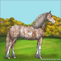 Horse Color:Chestnut Splash Tobiano  and Chestnut Splash Tobiano 