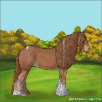Horse Color:Chestnut Tobiano 