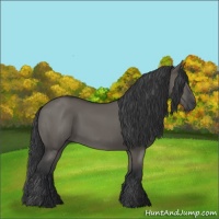 Horse Color:Grullo 