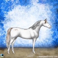 Horse Color:Chestnut Splash Tobiano  and Chestnut Splash Tobiano 