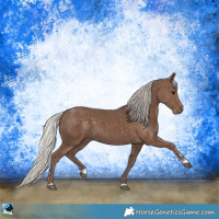 Horse Color:Silver Black 