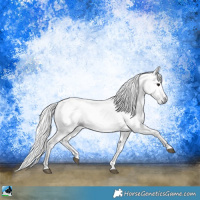 Horse Color:Gray Silver Black 