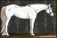 Horse Color:Chestnut Splash Tobiano  and Chestnut Splash Tobiano 