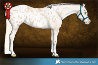 Horse Color:Palomino Pearl Tobiano Blanket Rabicano 