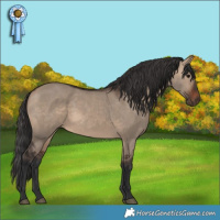Horse Color:Brown Dun 