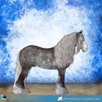 Horse Color:Chocolate Silver Brown Chinchilla Ice Sabino Rabicano