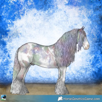 Horse Color:Nacre White Spotted Silver Black Chinchilla Sabino Rabicano 