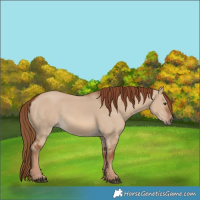 Horse Color:Red Dun 