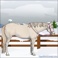 Horse Color:Smoky Creme 