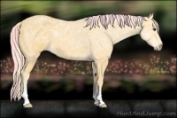 Horse Color:Painted Palomino Ice 