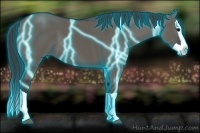 Horse Color:Thunderstruck Grullo Splash 