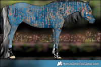 Horse Color:Silver Bay  and ERROR: UNKNOWN ANOMALY