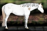 Horse Color:Chestnut Splash Tobiano  and Chestnut Splash Tobiano Rabicano 